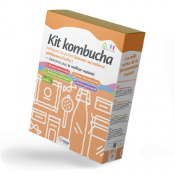 boite kit kombucha maison orisae boite kit kombucha maison orisae