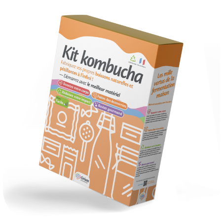 boite kit kombucha maison orisae boite kit kombucha maison orisae