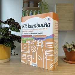 kit kombucha maison orisae kit kombucha maison orisae