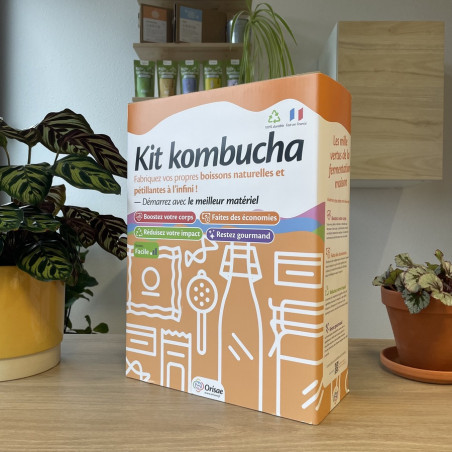 kit kombucha maison orisae kit kombucha maison orisae