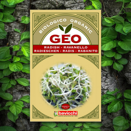 Radish GEO Brand Organic