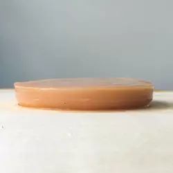 scoby mère de kombucha fraiche orisae scoby mère de kombucha fraiche orisae