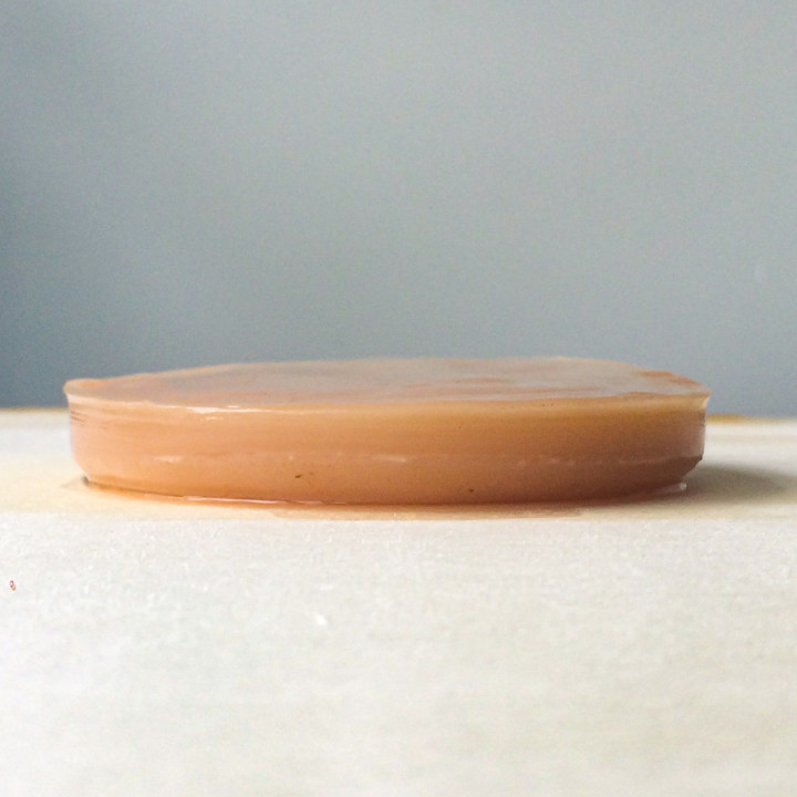 scoby mère de kombucha fraiche orisae