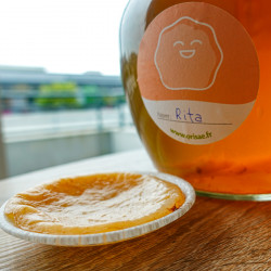 scoby mère de kombucha fraiche