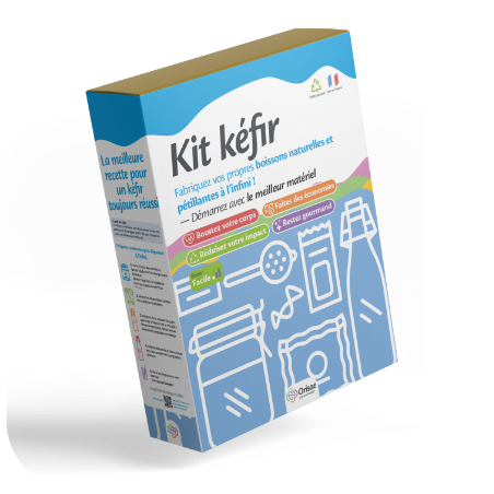 kit kéfir maison orisae kit kéfir maison orisae