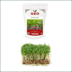 Graines A Germer Basilic Bio Graines A Germer Basilic Bio