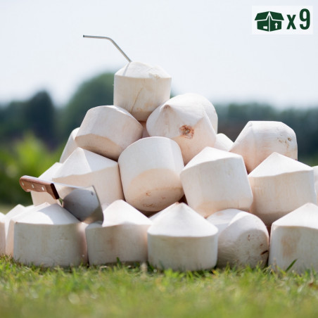 fresh coconut calories fresh coconut calories