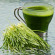 Organic Barley Seeds Special Barley Grass