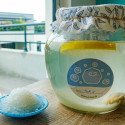 grãos de kefir fresco orisae