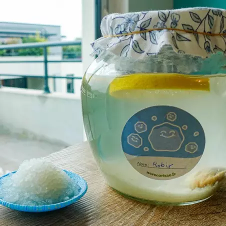 Grani di Kefir di frutta disidratati BIO