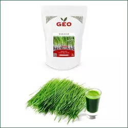 Graine Germination Bio Herbe D'Orge Graine Germination Bio Herbe D'Orge