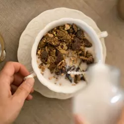 bowl of organic gluten-free and no added sugar cocoa muesli cereal bowl of organic gluten-free and no added sugar cocoa muesli cereal