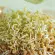 Bio-Bockshornkleesamen