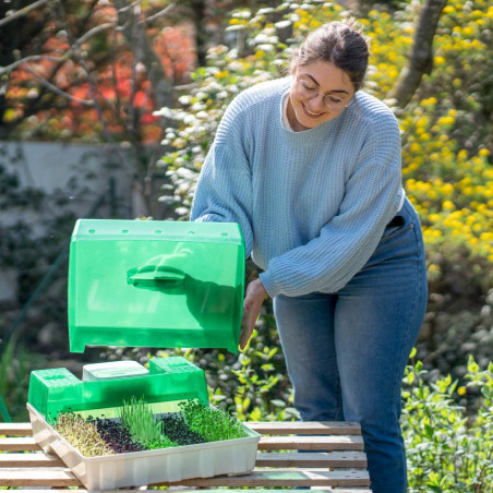 bienfaits des graines germées facilement avec l'Easygreen