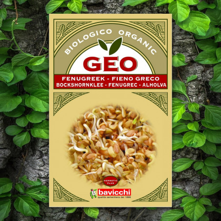 Fenugreek Seed GEO Organic