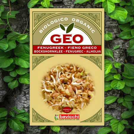 Fenugreek Seed GEO Organic Fenugreek Seed GEO Organic