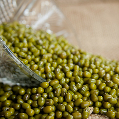 Mung Bean Seed Benefits