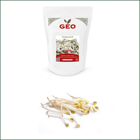Graine Germination Bio Haricot Mungo Graine Germination Bio Haricot Mungo