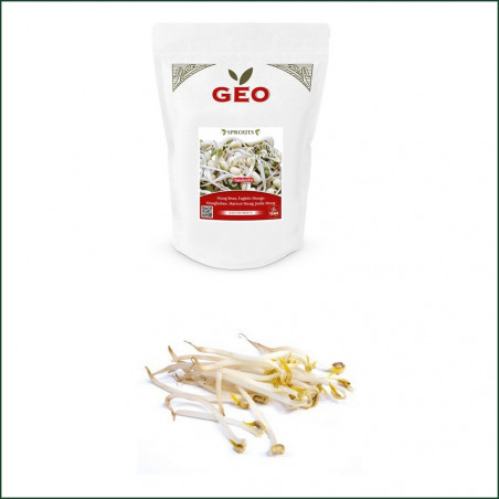Organic Sprouted Seed Mung Bean