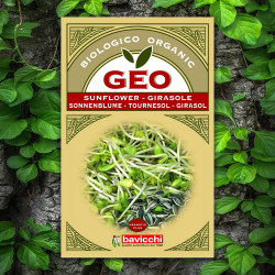 GEO Sunflower Seed To Germinate GEO Sunflower Seed To Germinate