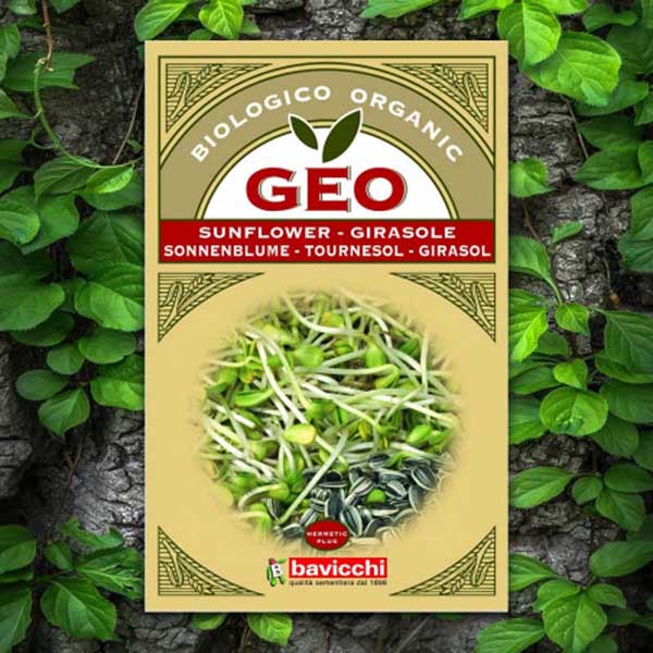 GEO Sunflower Seed To Germinate GEO Sunflower Seed To Germinate