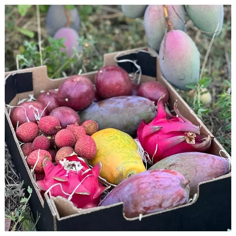 papaye mangue pitaya maracuja litchi origine Espagne