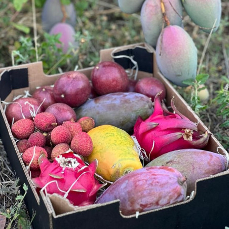 papaye mangue pitaya marcuja litchi origine Espagne