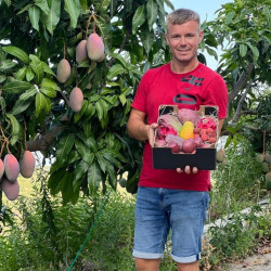 mélange de fruits exotique de Iulian producteur bio en Andalousie