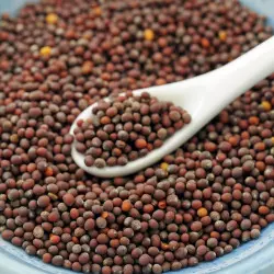 Graine Moutarde Mucilagineuse Bio Graine Moutarde Mucilagineuse Bio