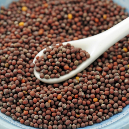 Organic Mucilaginous Mustard Seed