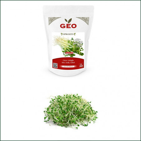 Graine Germination Bio Trèfle Rouge