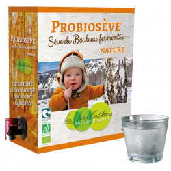 Sève de bouleau fermentée nature 3L Sève de bouleau fermentée nature 3L
