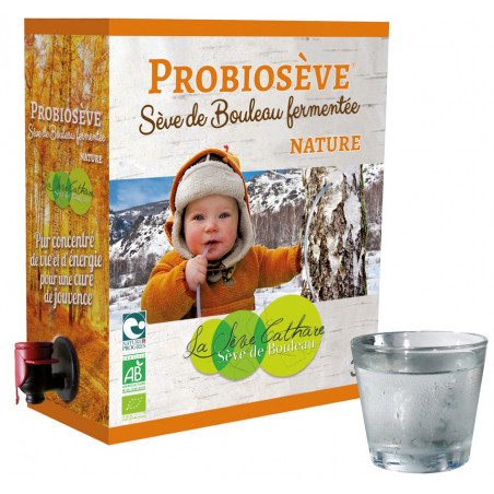 Sève de bouleau fermentée nature 3L Sève de bouleau fermentée nature 3L