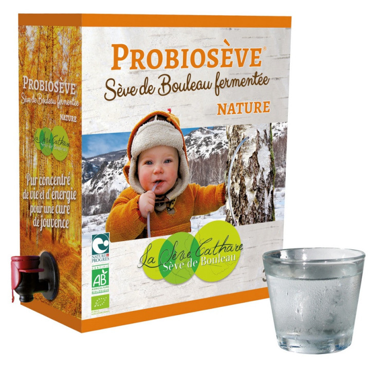 Sève de bouleau fermentée nature 3L