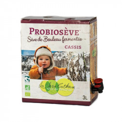 Probioseve cassis, sève de bouleau fermentée