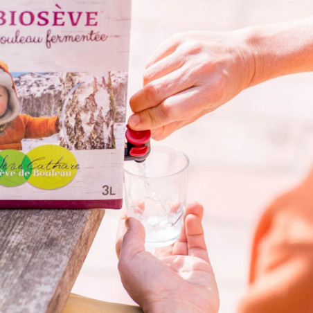 Sève de bouleau fermentée des Pyrénées bio nature et progrès Sève de bouleau fermentée des Pyrénées bio nature et progrès