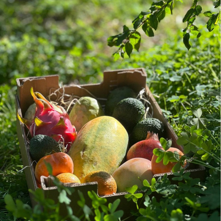 Mélange de fruits exotiques bio d'Espagne 5 kg | Biovie