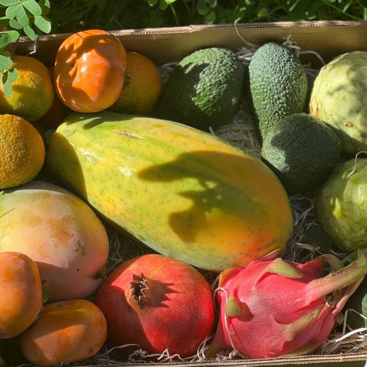 Mélange de fruits exotiques bio d'Espagne 5 kg | Biovie