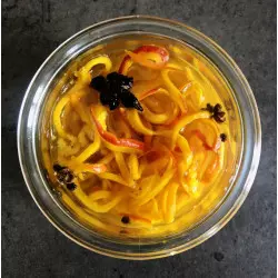 Ausbildung in der Herstellung von dehydrierten Gemüse-Pickles - ShiraBio Ausbildung in der Herstellung von dehydrierten Gemüse-Pickles - ShiraBio