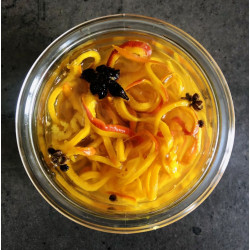 Opleiding Gedroogde Groentepickles - ShiraBio