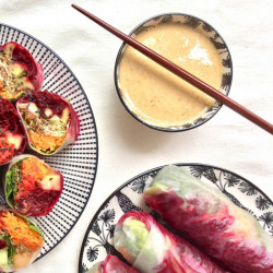 Formación de salsas de miso y tamari - ShiraBio