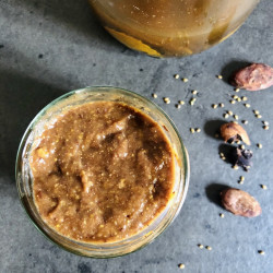 Formação Chutneys de Frutas Lactofermentadas - ShiraBio