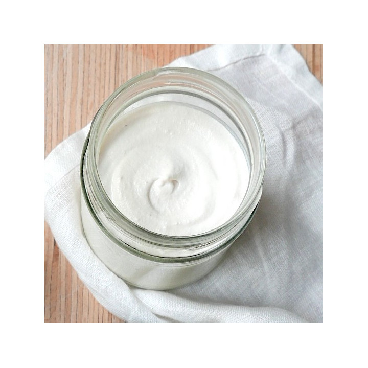 Plant-Based Creamery Training - ShiraBio