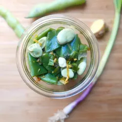 Frühlings-Lactofermentationskurs 1 - ShiraBio Frühlings-Lactofermentationskurs 1 - ShiraBio