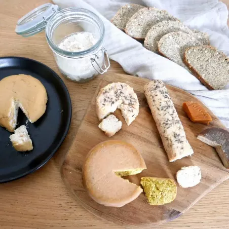 Ausbildung Fermentierte Pflanzliche Käse - ShiraBio Ausbildung Fermentierte Pflanzliche Käse - ShiraBio
