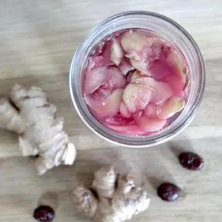 Kreative Lacto-Fermentationen - Ausbildung ShiraBio