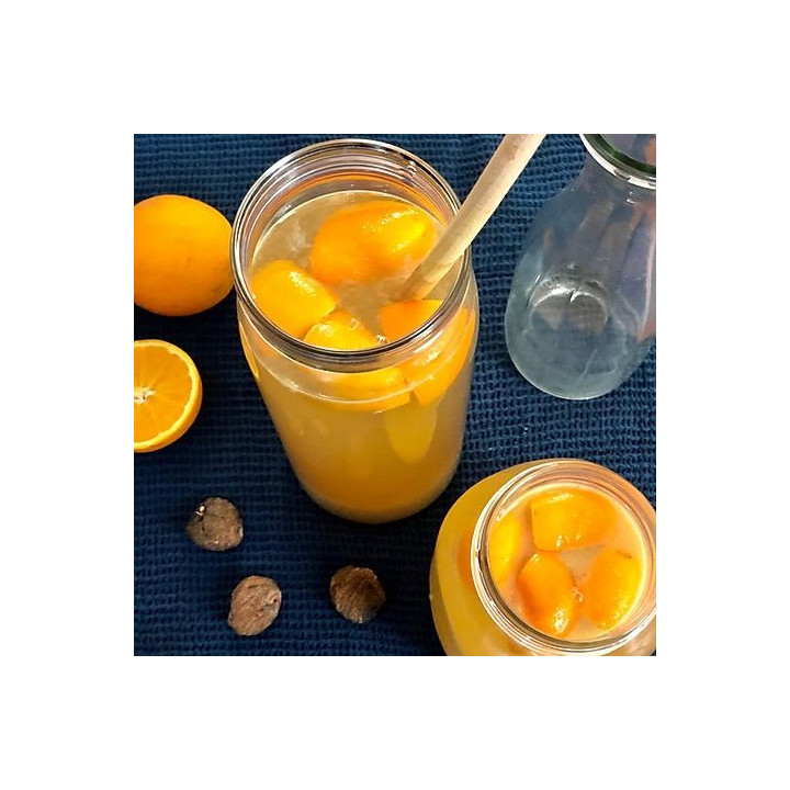 Formation Boissons probiotiques (kéfir, kombucha) – ShiraBio