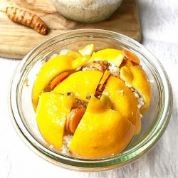 Formação nas Bases da Lacto-fermentação - ShiraBio