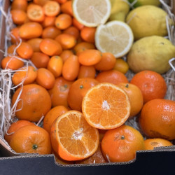 mandarine kumquat citrons