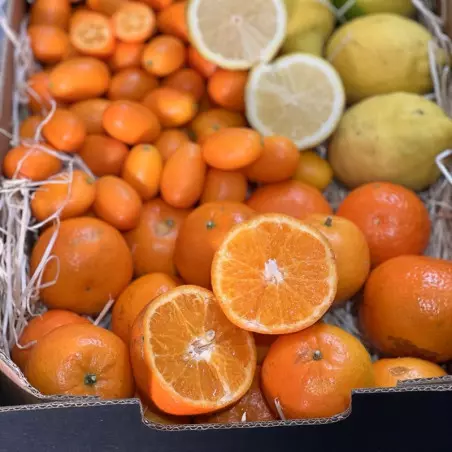 tangerina kumquat limões tangerina kumquat limões